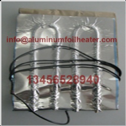 Bacteria fungas microorganism foster heater